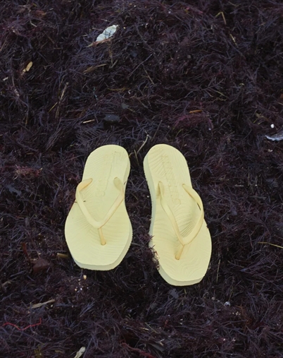 Tapered Flip Flops - Mellow Yellow - Sleepers 